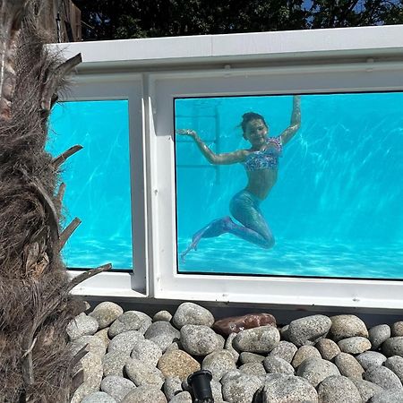 Scandinavia Resort Zator Εξωτερικό φωτογραφία